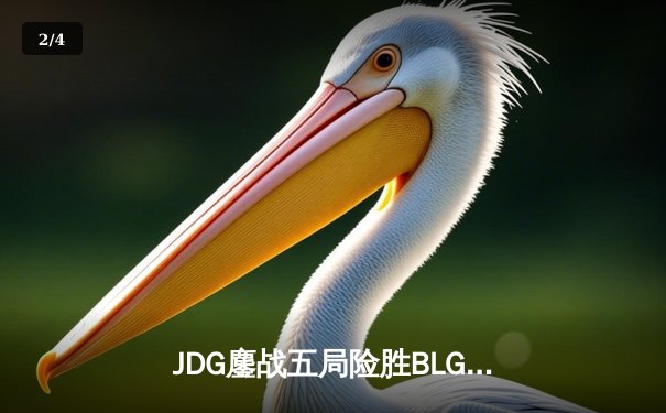 JDG鏖战五局险胜BLG登顶LPL春决，Knight沙皇关键推盘定乾坤 - 2